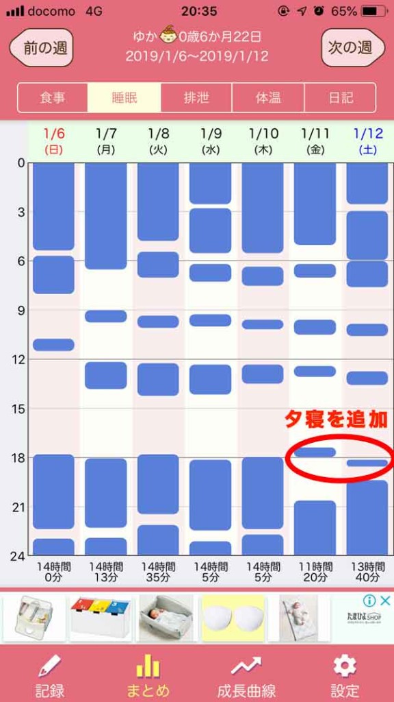 ネントレ日記 年末年始から崩れてしまった子供のスケジュール修正 ジーナ式 ちいさなあなたへ 発達障害の娘との子育てブログ